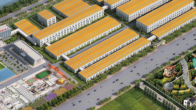维生素D3鱼肝油：上海市场行情解析